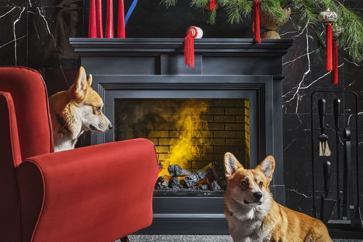 Деревянный портал Dimplex Coventry - Белый